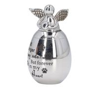 Naroote Pet Cremation Urn for Loving Memorial High Strength Stainless Steel Keepsake for Mantel Bookshelf 30x40mm (#2)