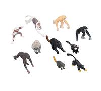 Naroote Realistic Zoo Animal Figures Model, Monkey Orangutan Figurines Cake Toppers Playset Family Party Supplies Desktop Decoration Figurines of Various Monkeys Wild Life Jungle Animal
