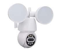 Naroote Security Camera, Camera 110-240 V with Reduction of Wireless Noise with External Light (UK Plug)