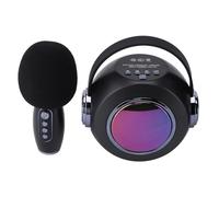 Naroote Wireless Microphone Speaker, Set of Karaoke Machine Speakers for the Microphone Audio Collection with Domestic (Single Mic)