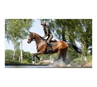 Narrow suede jumping mat LeMieux