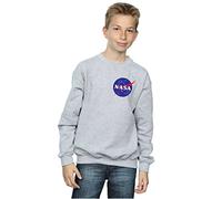 NASA Boys Classic Insignia Chest Logo Sweatshirt 9-11 Years Sport Grey
