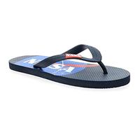 Nasa Men's Official Collection Flip Flops Size 45