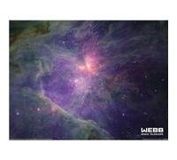 NASA Wavelength Nircam Orion Mosaic In Esasky Print NASA Multicolor
