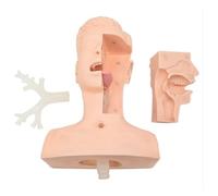 Nasal Cavity Oral Suction Training Mode, Nursing Medical Training Advanced Suction Practice Model For Nursing Medical Training