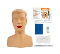 Nasal Cavity Oral Suction Training Model, Advanced Airway Management Simulator, Sputum Model For Nursing Medical Study Practice