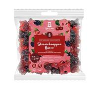 naschlabor x Gute Laune Fruit Juice Bear | Red Shooting Stars | 20% Variety Fruit Juices | No Artificial Colours and Flavour Enhancers | Gluten and Lactose Free