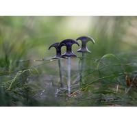 Nash Titan Bivvy Peg 10 Piece Set Carp Fishing Bivvy Accessories - All Lengths