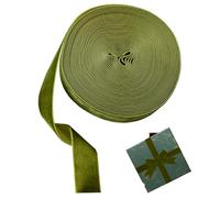 NASSMOSSE Green Velvet Ribbon 1 Inch Single Side, Satin Ribbon Retro Christmas Wrapping Paper for Hair Bows, Choker, Cafts, Bouquet, Light Green