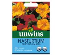 Nasturtium Burning Embers