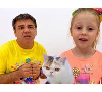 Nastya's Busy Days: Kittens, Pool Fun, and Quarantine Adventures