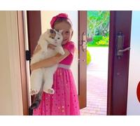 Nastya's Hollywood Holiday Adventures: Home Alone, Santa Letters, and L.A. Explorations