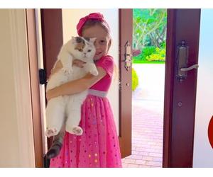 Nastya's Hollywood Holiday Adventures: Home Alone, Santa Letters, and L.A. Explorations