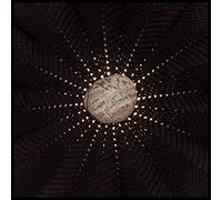 Nat Baldwin - In The Hollows [VINYL]