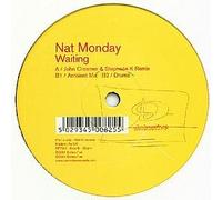 Nat Monday - Waiting Remixes [12" VINYL]