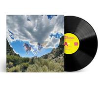 Nate Mercereau - Fantastic Thoughts [VINYL]