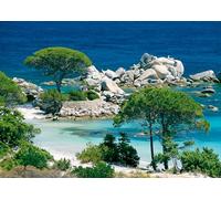 Nathan 12000914 Adult Jigsaw Puzzle