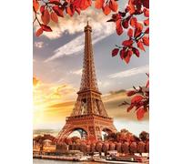 Nathan 12000915 Adult Jigsaw Puzzle