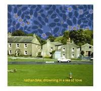 NATHAN FAKE - DROWNING IN A SEA OF LOVE(LP ALBUM)