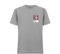 Nathan MacKinnon 29 Jersey Frame Men's T-Shirt - Gray / 3XL
