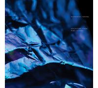 Nathaniel Young - Accosting Form, Pure Intent [VINYL]