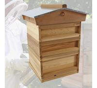 National Beehive Starter Kit in Cedar
