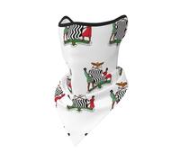 National Emblem Print House Headwear Zambia National Emblem Snood - Multifunctional Zambia Bandana Headband Neck Gaiter Men Women Kids Face Covering Balaclava