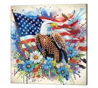 National Flag and Eagle Special Shaped 5D DIY Partial Drill Diamond Painting Kits with Frame 9.84x9.84in Diamonds Dots Gem Art Kits for Adults Beginners Home Decor