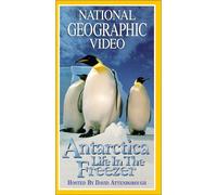 National Geographic: Antarctica:Life in the Freezer
