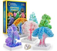 Craft Kits for Kids - Crystal Growing Kit, Grow 6 Crystal Trees in Just 6 Hours, Educational Craft Kit with Art Supplies, Geode Specimen & STEM