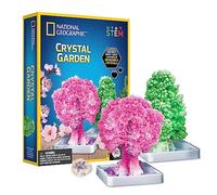 National Geographic Crystal Garden Growing Kit for Kids - Educational Science Kits for Kids Age 8+ Grow Genuine Rose Quartz Crystal Covered Trees | STEM Gifts for 8+ Year Old Boys and Girls