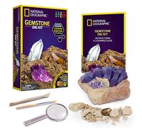 National Geographic Gemstone Dig Kit - Fascinating Gem Excavation Kits for Kids with Authentic Amethyst, Quartz and Tiger's Eye | STEM Educational Science Kits Gifts for 8+ Year Old Boys and Girls