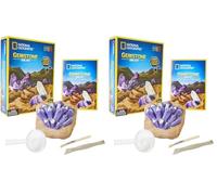 National Geographic Gemstone Dig Kit - Fascinating Gem Excavation Kits for Kids with Authentic Amethyst, Quartz and Tiger's Eye | STEM Educational Science Kits Gifts for 8+ Year Old Boys and Girls