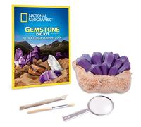 National Geographic Gemstone Dig Kit - Fascinating Gem Excavation Kits for Kids with Authentic Amethyst, Quartz and Tiger's Eye | STEM Educational Science Kits Gifts for 8+ Year Old Boys and Girls