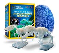 National Geographic Glow in the Dark Dinosaur Skeleton Building Kit