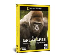 National Geographic: Great Apes [DVD]