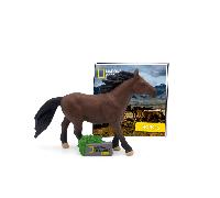 National Geographic - Horses