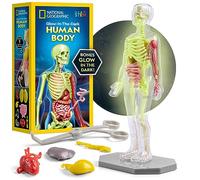 NATIONAL GEOGRAPHIC Human Body Model for Kids - 32-Piece, 23 cm Glow-in-the-Dark Interactive Anatomy Model with Bones, Organs, Muscles, Stand, Forceps & ID Chart, Anatomy & Physiology Study Tools