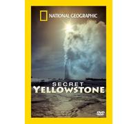 National Geographic: Into The Wilderness - Secret Yellowstone [DVD]