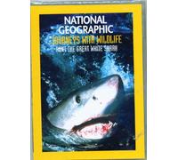 National Geographic Journeys with wildlife hunt the Great White Shark
