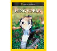 The King Cobra - King Cobra [DVD] [Region 1] [US Import] [NTSC]