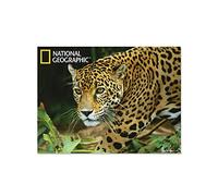 National Geographic NG18700 Jaguar Super 3D Collectable Postcard