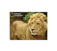 National Geographic NG18703 African Lion Super 3D Collectable Postcard