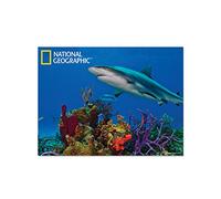 National Geographic NG18705 Shark Super 3D Collectable Postcard