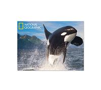 National Geographic NG18706 Orca Super 3D Collectable Postcard
