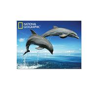 National Geographic NG18707 Dolphins Super 3D Collectable Postcard