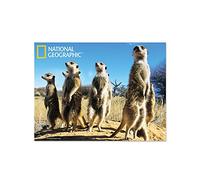 National Geographic NG18710 Meerkats Super 3D Collectable Postcard