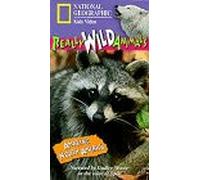 National Geographic: Real Wild Animals Amazing North America [VHS]