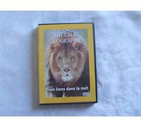 National Geographic : Trois lions dans la nuit