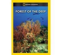 NATIONAL GEOGRAPHIC VIDEO - FOREST OF THE DEEP NEW REGION 1 DVD